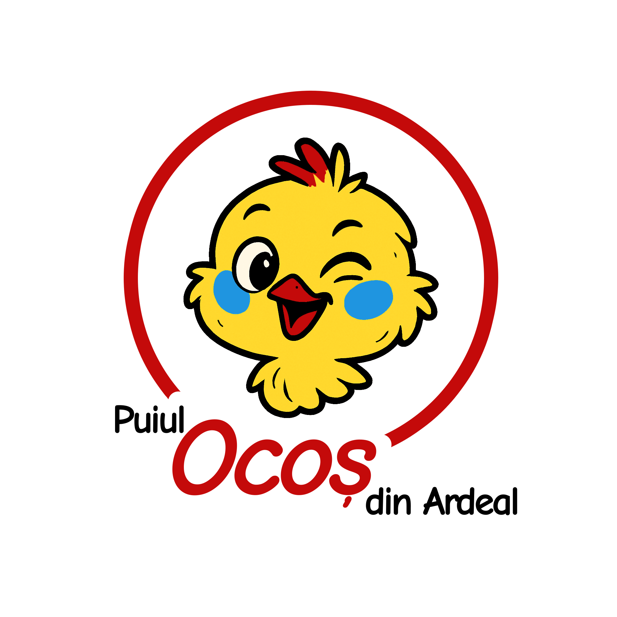 Puiul Ocos din Ardeal